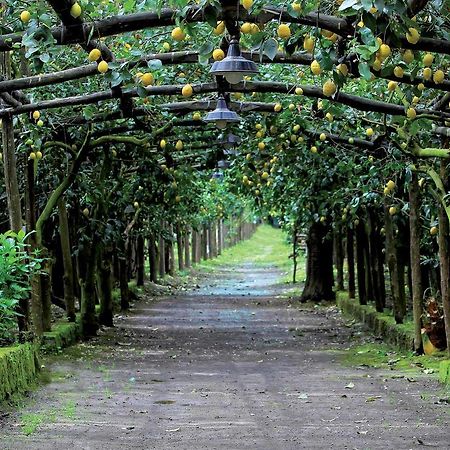 Agriturismo Il Convento Massa Lubrense Dış mekan fotoğraf