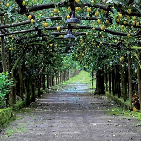 Agriturismo Il Convento Villa Massa Lubrense Dış mekan fotoğraf